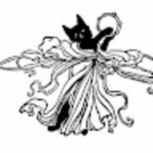 Meet your Posher, Kai